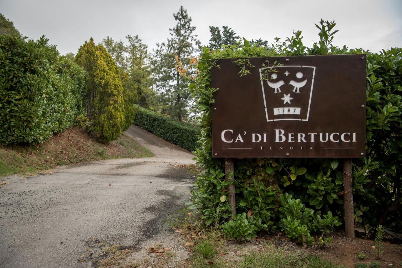 Tenuta Ca Di Bertucci Apartment Solignano Luaran gambar