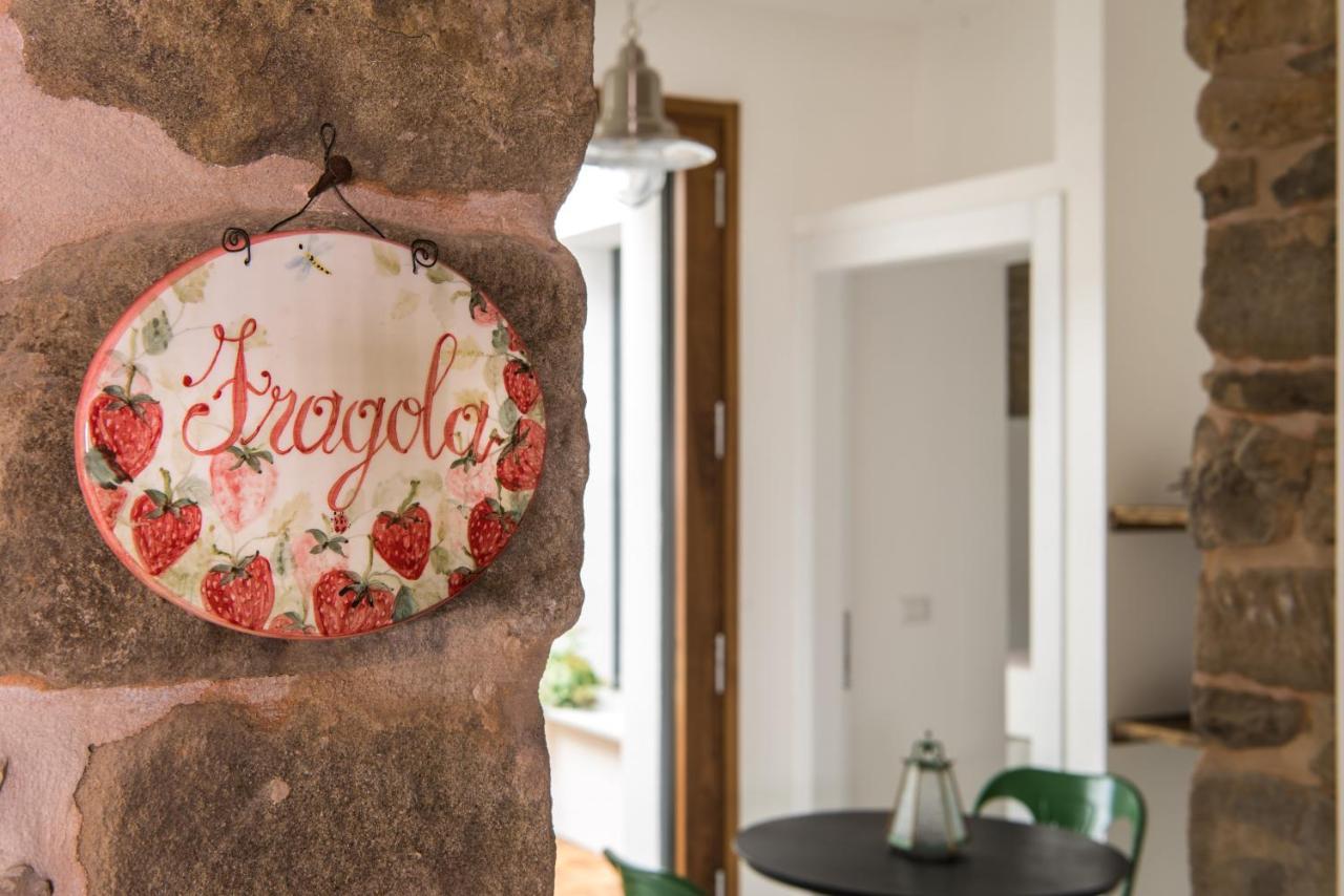 Tenuta Ca Di Bertucci Apartment Solignano Luaran gambar