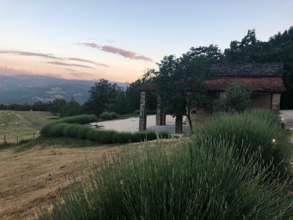 Tenuta Ca Di Bertucci Apartment Solignano Luaran gambar